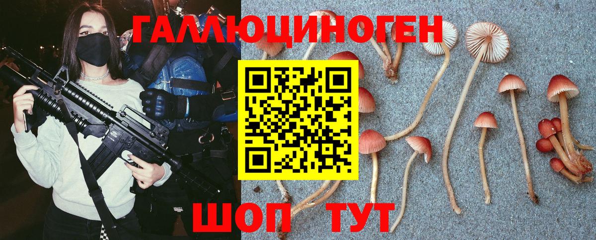 Псилоцибиновые грибы ЛСД Гуково