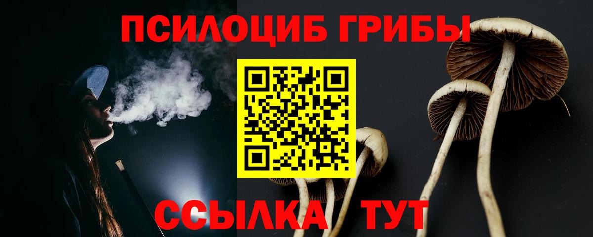 Псилоцибиновые грибы мухоморы  Вход с VPN  Гуково 